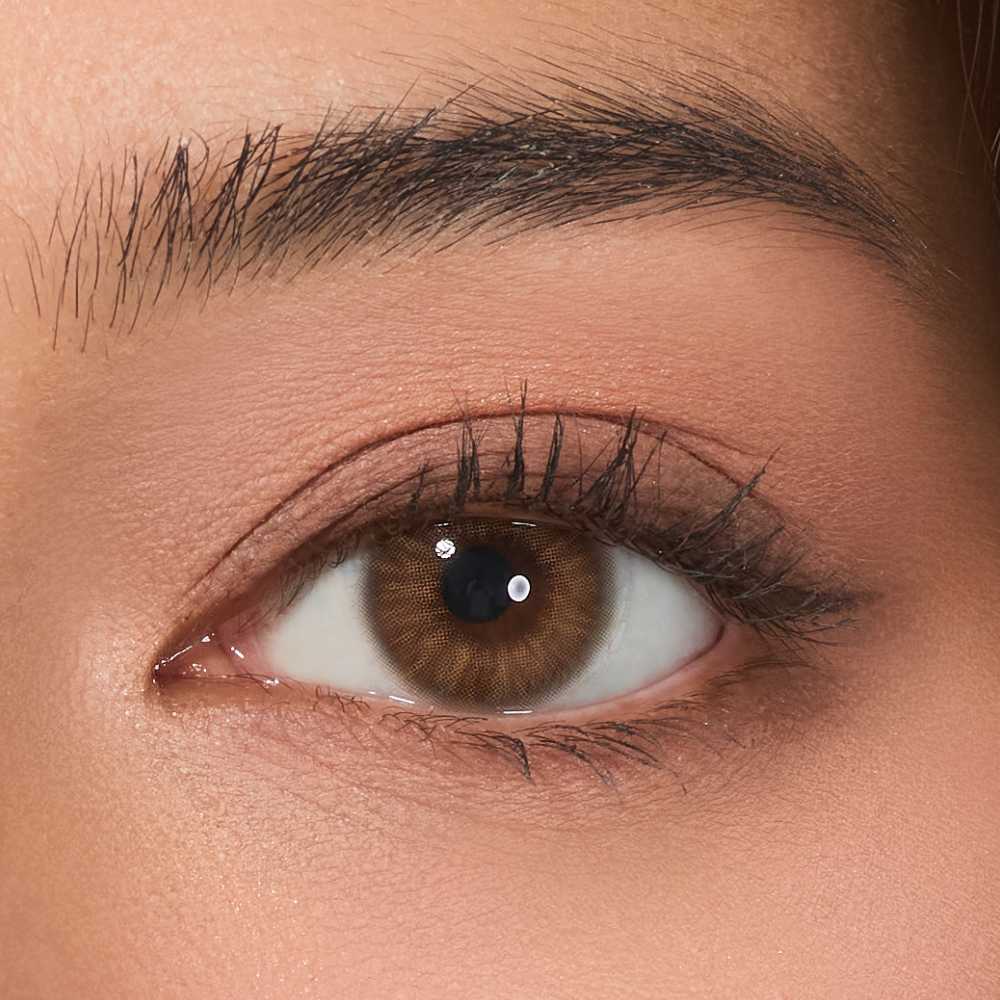 Palette Morandi Brown