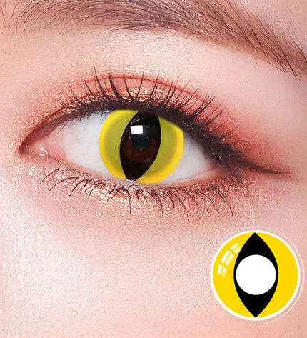 Yellow Cat Eyes - HoneyColor